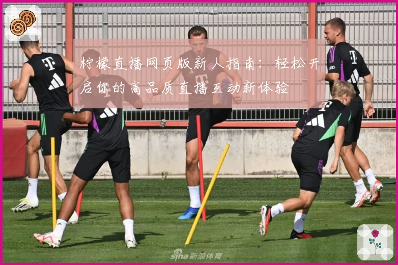 柠檬直播网页版新人指南：轻松开启你的高品质直播互动新体验